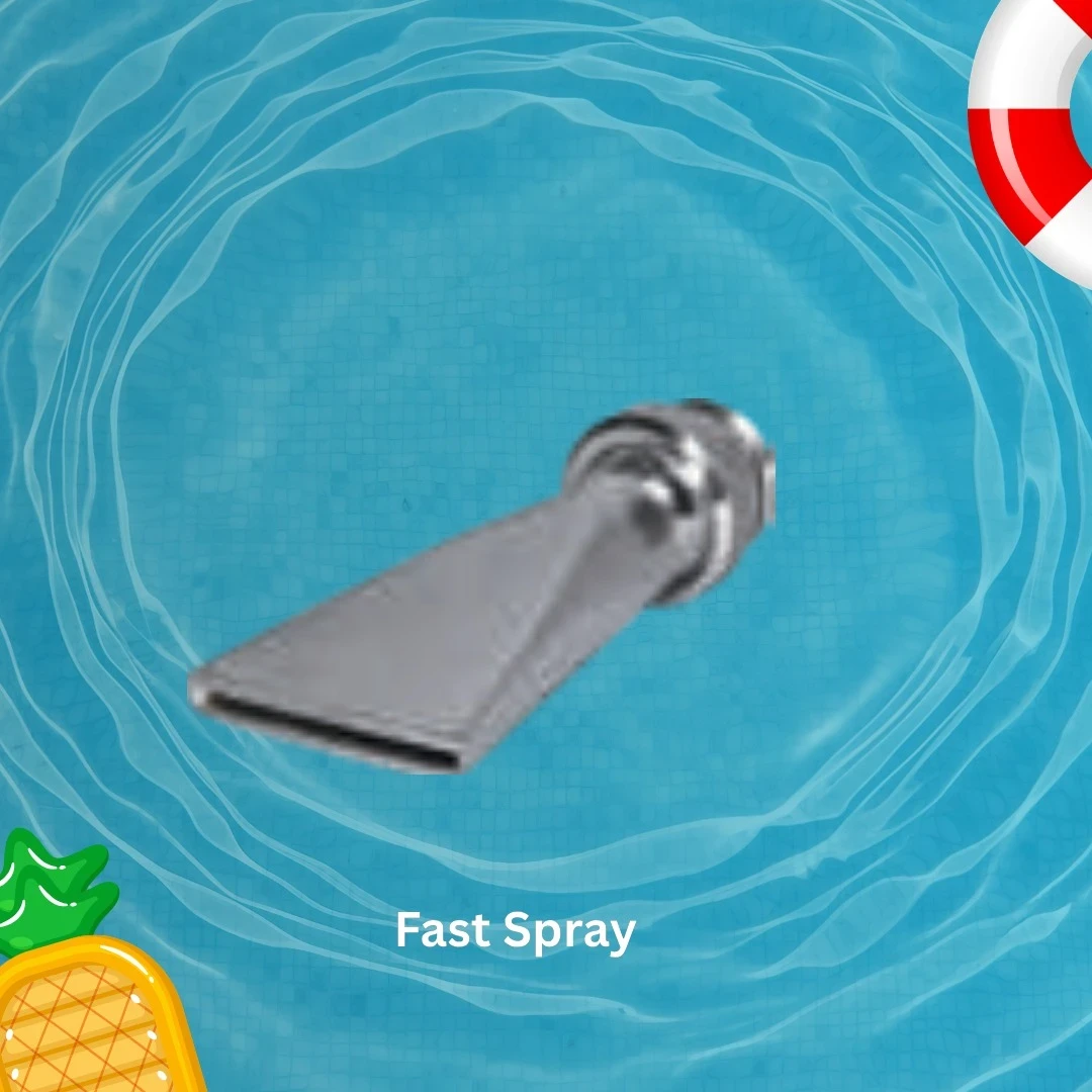 SS Shower Spray Head  