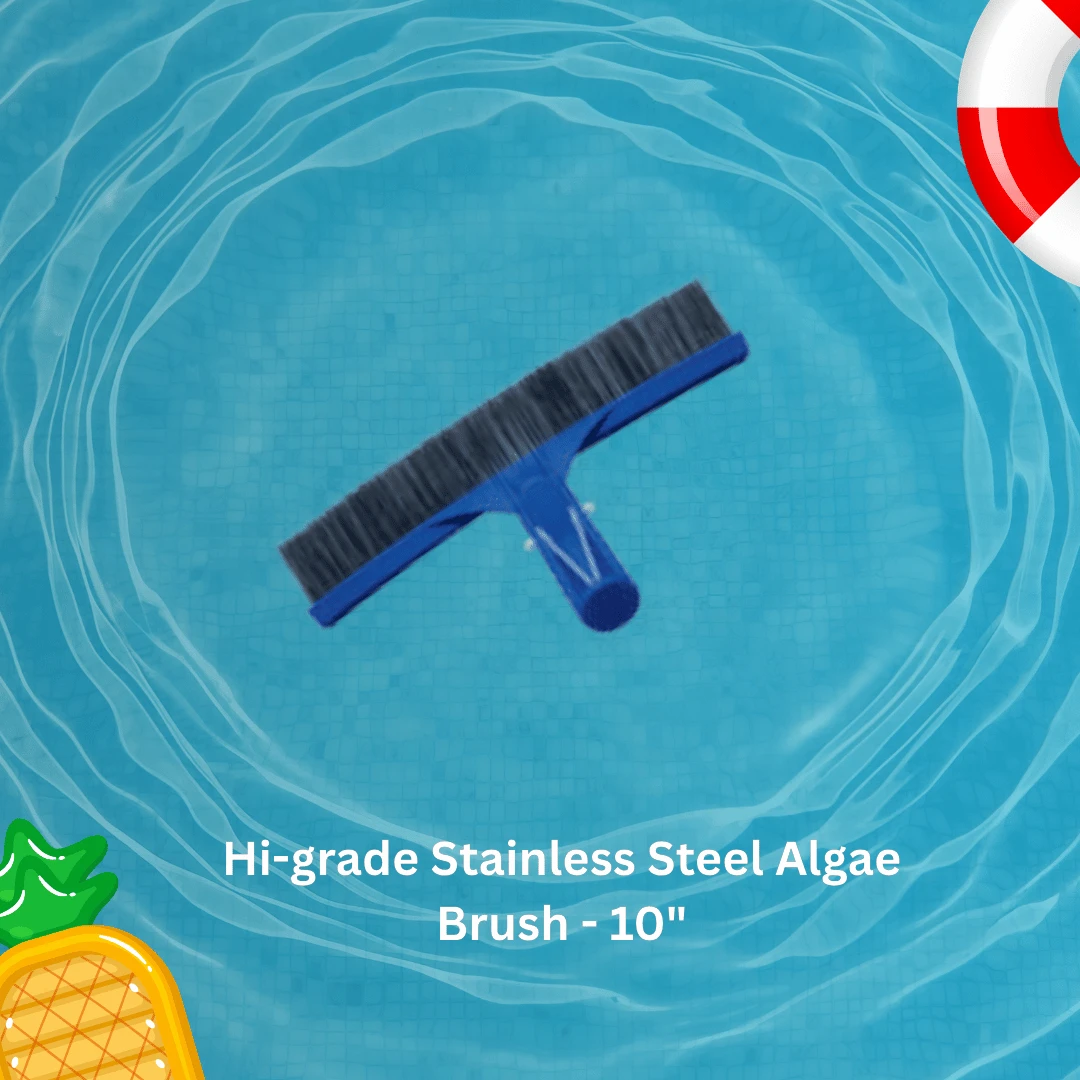 Hi-grade Stainless Steel Algae Brush - 10"  