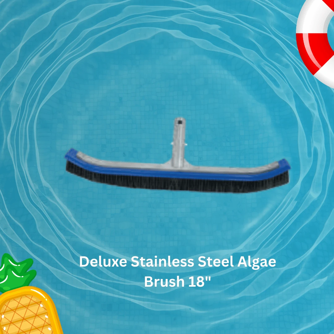 Deluxe Stainless Steel Algae Brush 18" (SS-19)  